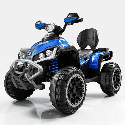 beach-buggy-large view 4