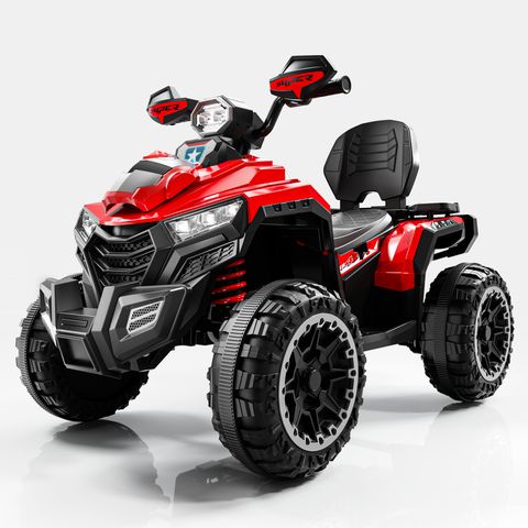 beach-buggy-large view 5
