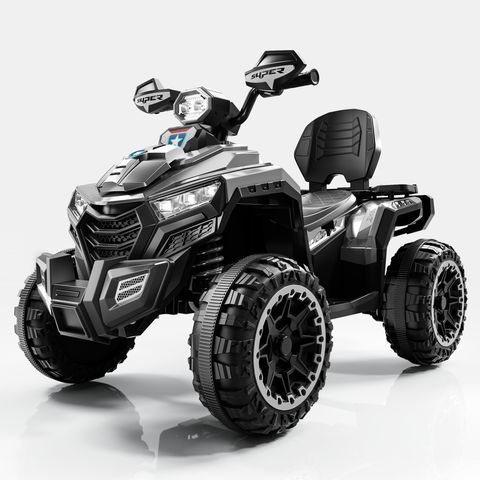 beach-buggy-large view 7