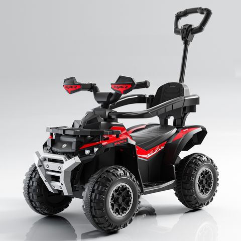 beach-buggy-small view 1