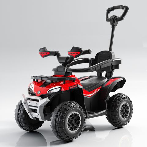 beach-buggy-small view 2