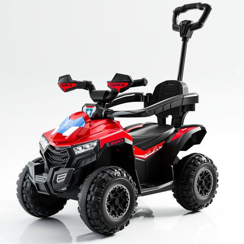 beach-buggy-small view 6