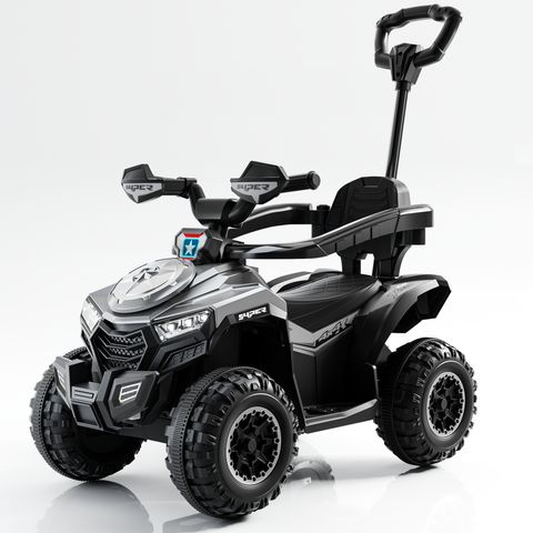beach-buggy-small view 8