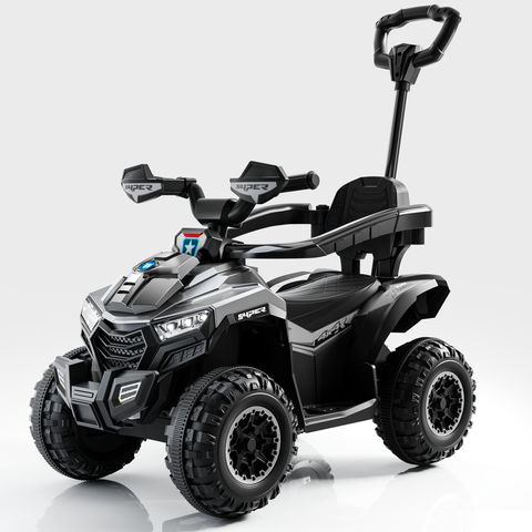 beach-buggy-small view 12